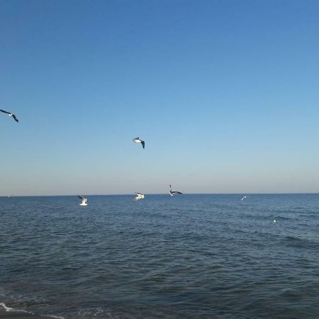 Kuestenwilla Fewo Usedom Penzance Dış mekan fotoğraf